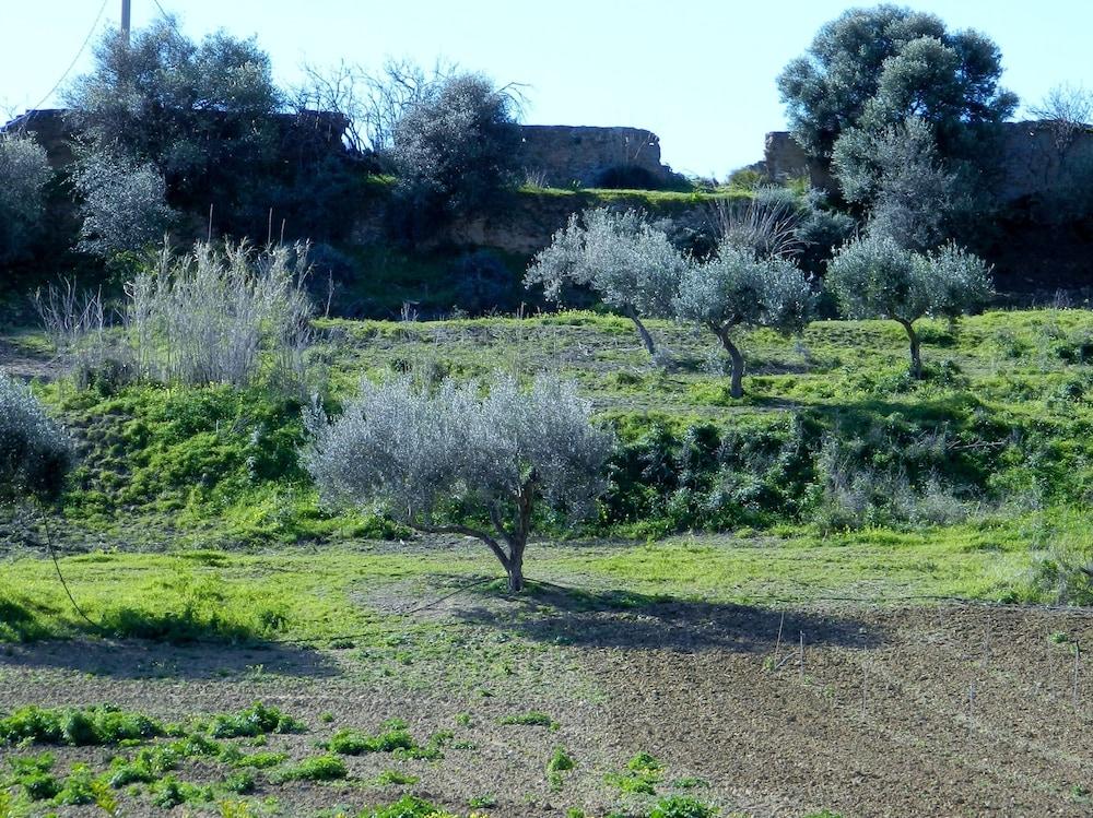 Agriturismo Passo Dei Briganti أغريجنتو المظهر الخارجي الصورة